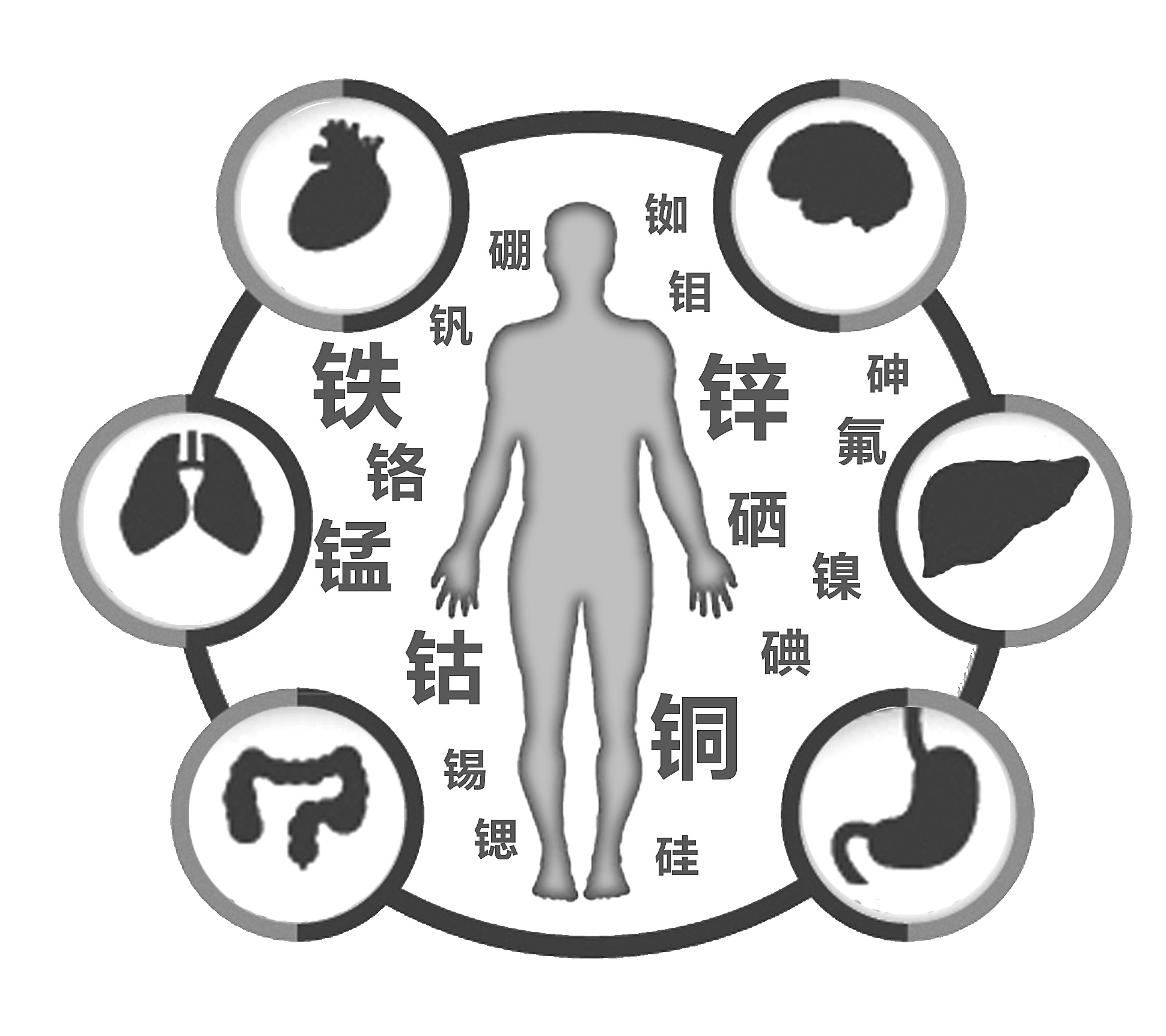 小黄鸭视频app下载检查有必要吗