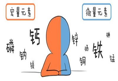 全自动小黄鸭视频app下载介绍缺少微量元素的危害 全自动小黄鸭视频app下载介绍缺少微量元素的危害