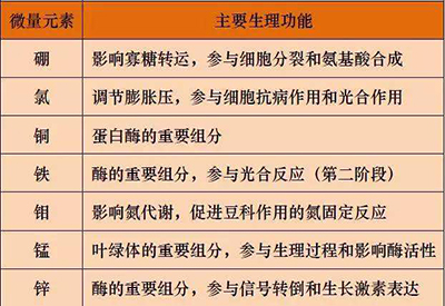 全自动小黄鸭视频下载污厂家微量元素的对人体的生理作用